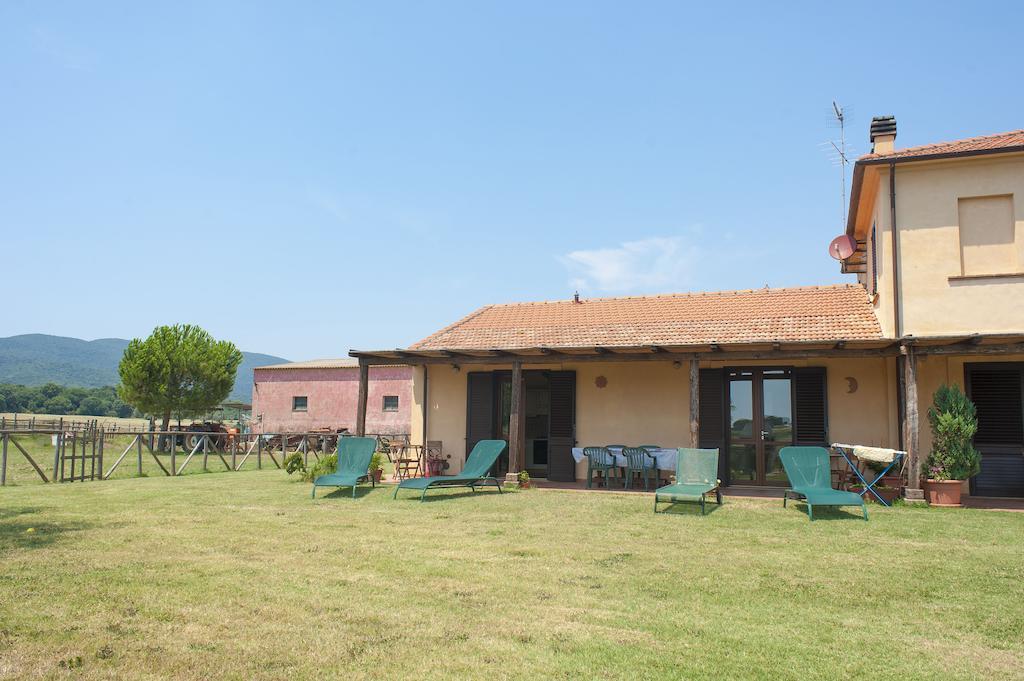 Agriturismo Mazzalupo Hotel Magliano in Toscana Kamer foto