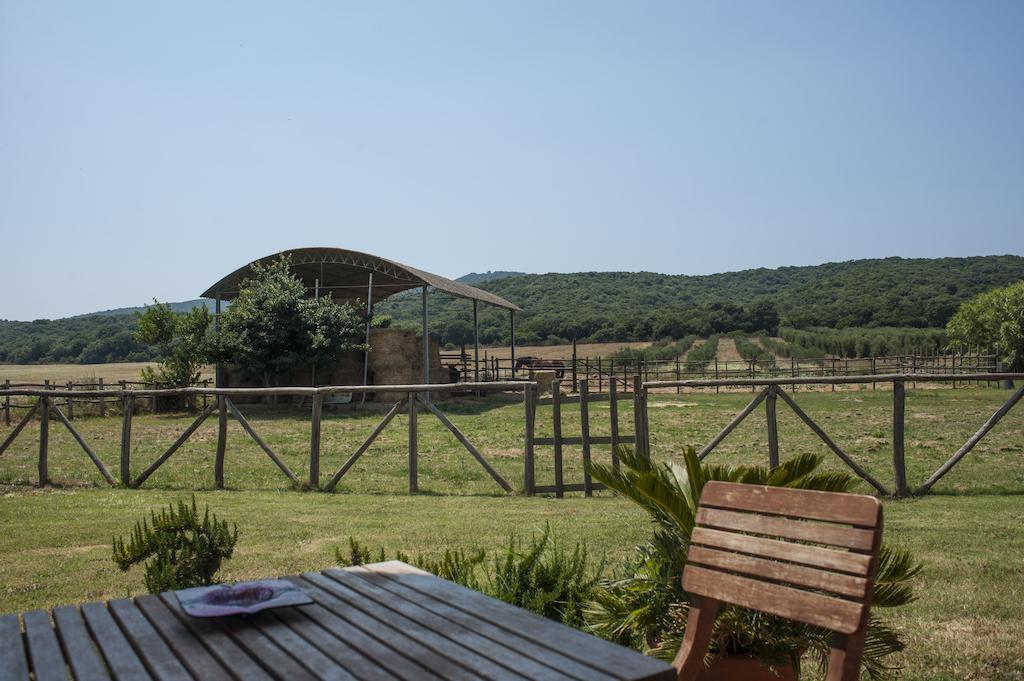 Agriturismo Mazzalupo Hotel Magliano in Toscana Kamer foto