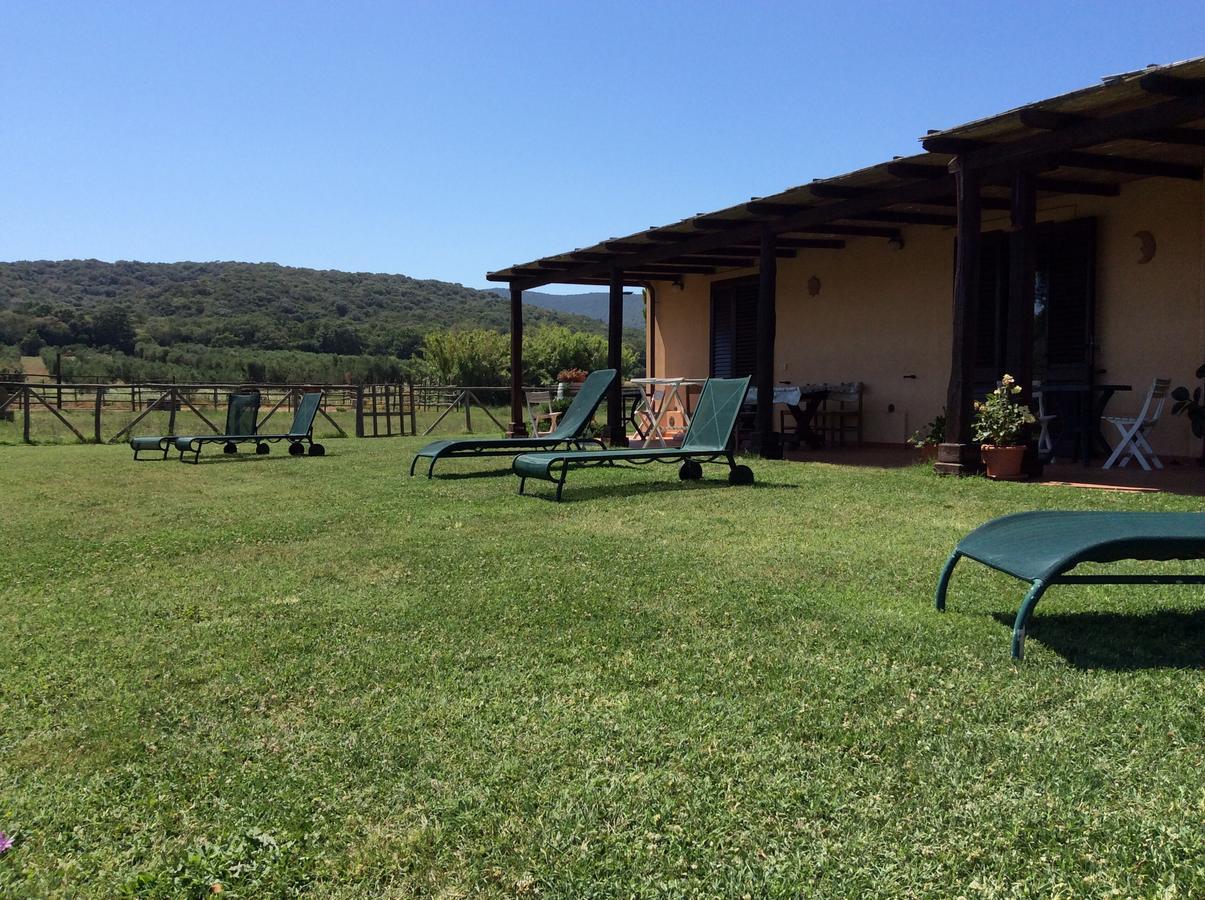 Agriturismo Mazzalupo Hotel Magliano in Toscana Buitenkant foto